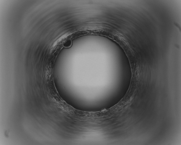 X0000103420920200809121303