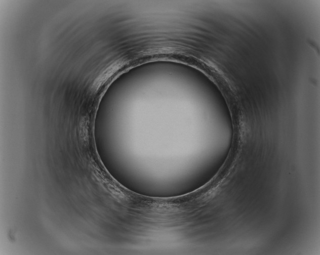 X0000103420921200809121303