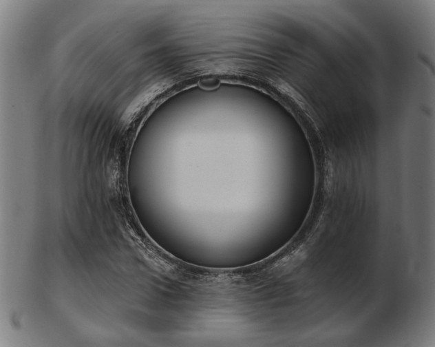 X0000103420922200809121303