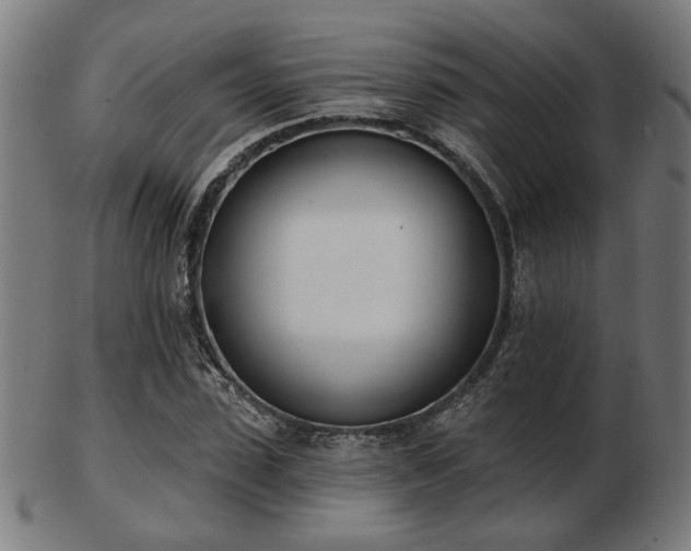 X0000103420923200809121303
