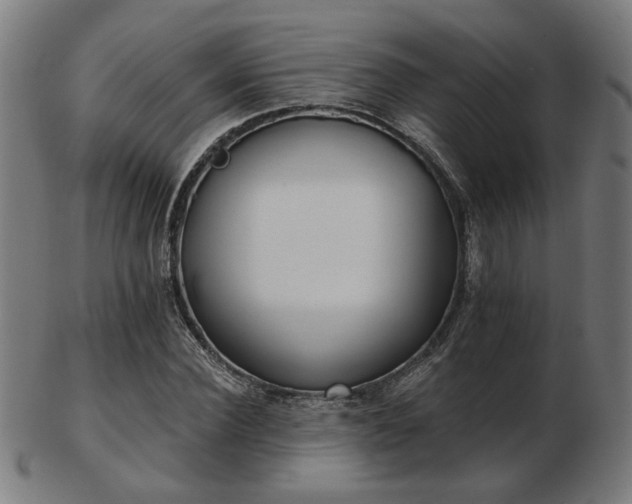 X0000103420924200809121303