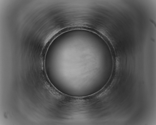 X0000103420925200809121303