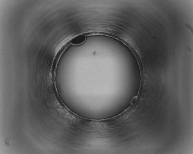 X0000103420928200809121303