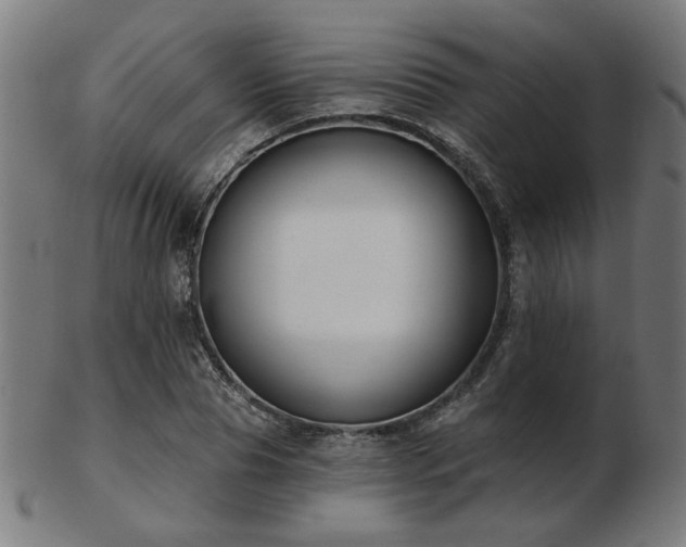 X0000103420929200809121303