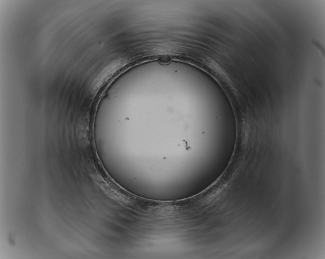 X0000103420930200809121303