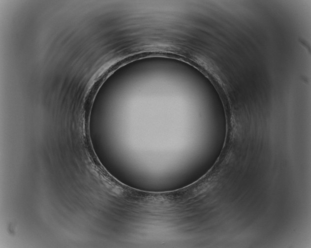 X0000103420931200809121304