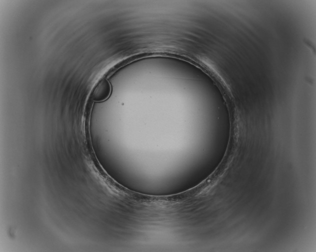 X0000103420932200809121304