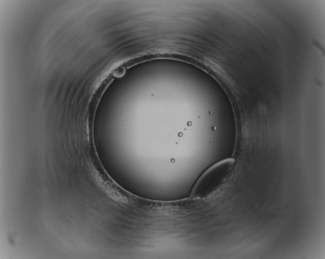 X0000103420934200809121304