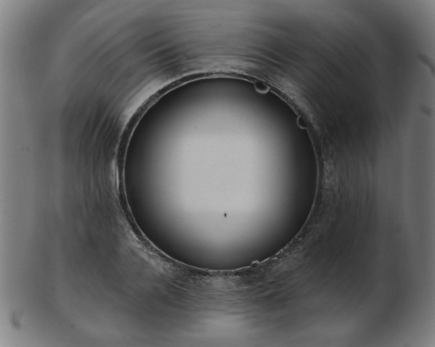 X0000103420936200809121304