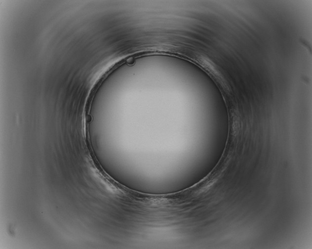 X0000103420940200809121304