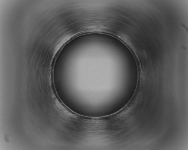 X0000103420941200809121304