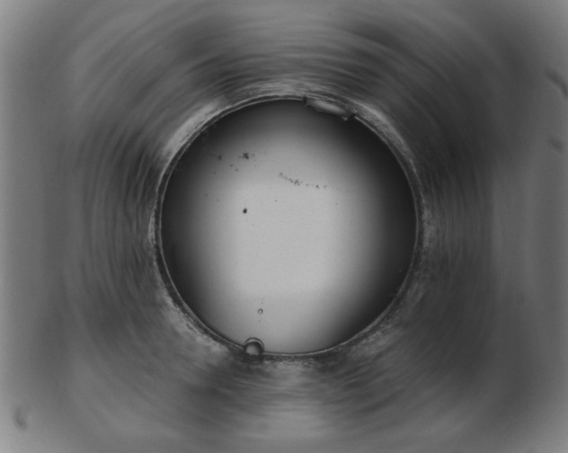 X0000103420946200809121304