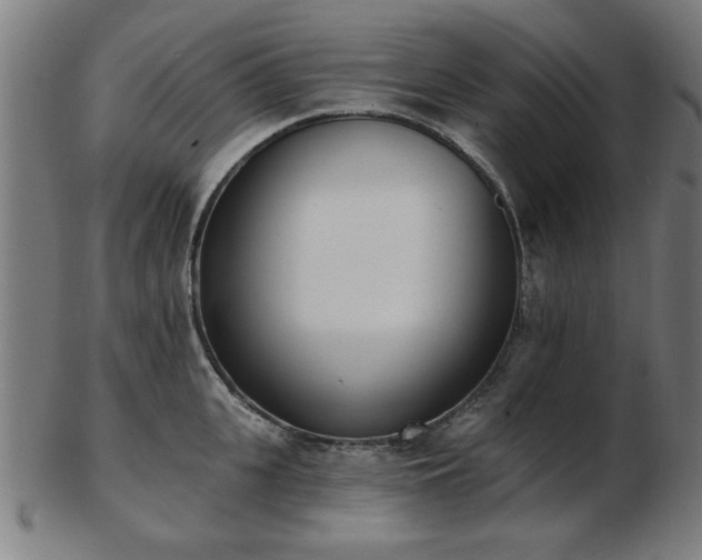 X0000103420951200809121304
