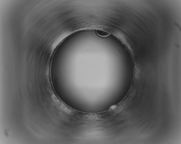 X0000103420952200809121304