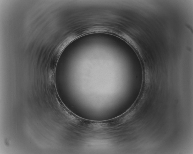 X0000103420953200809121304