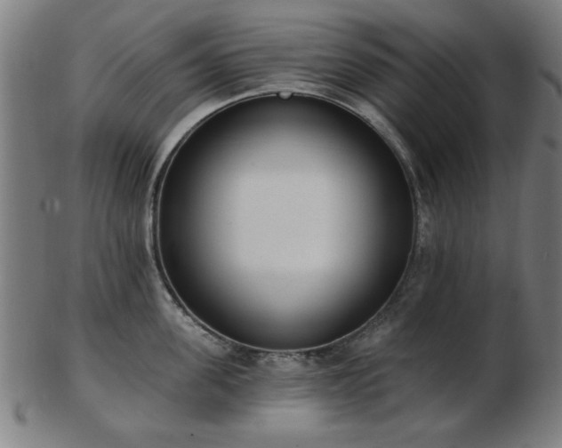 X0000103420955200809121304
