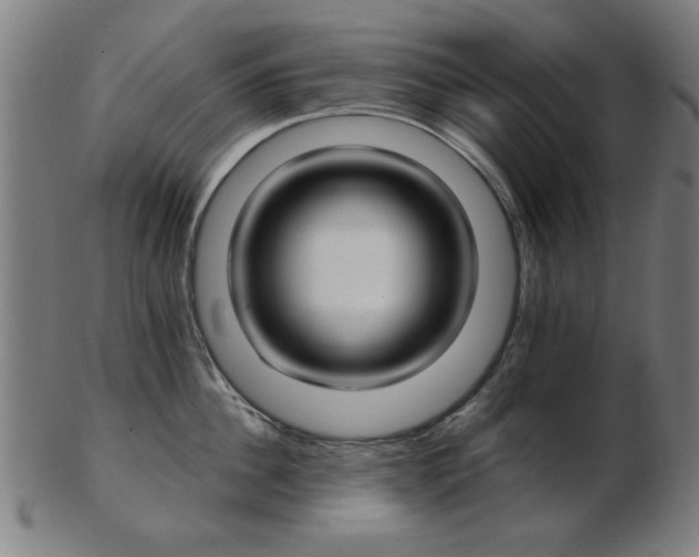 X0000103420956200809121304