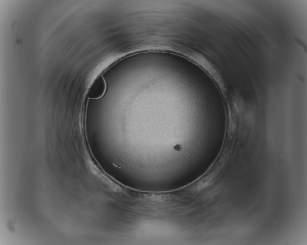X0000103420958200809121304