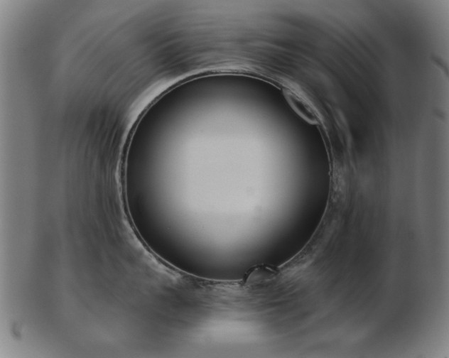 X0000103420959200809121304
