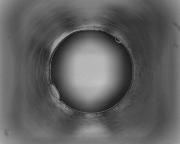 X0000103420960200809121304
