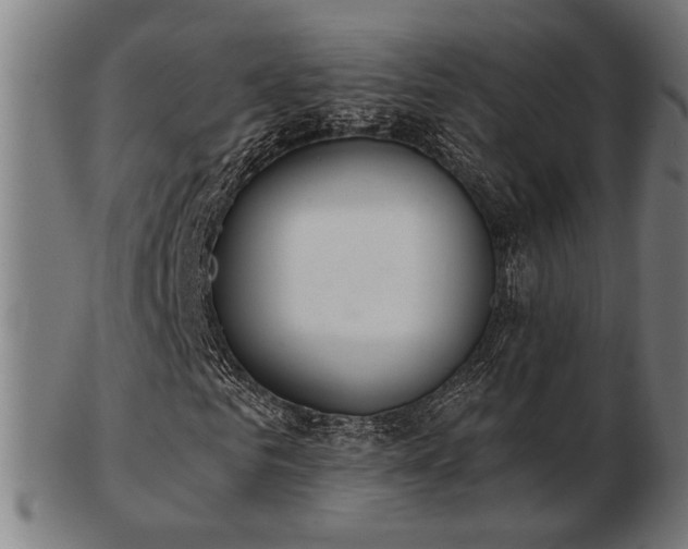 X0000103420961200809121303
