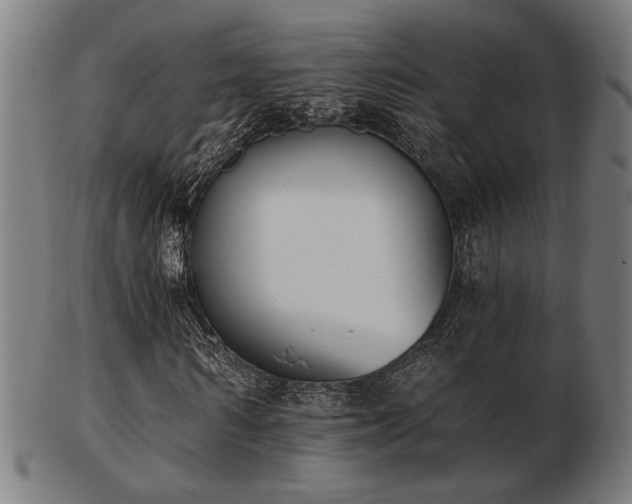X0000103420962200809121303