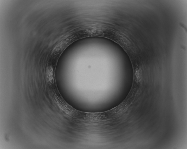 X0000103420963200809121303
