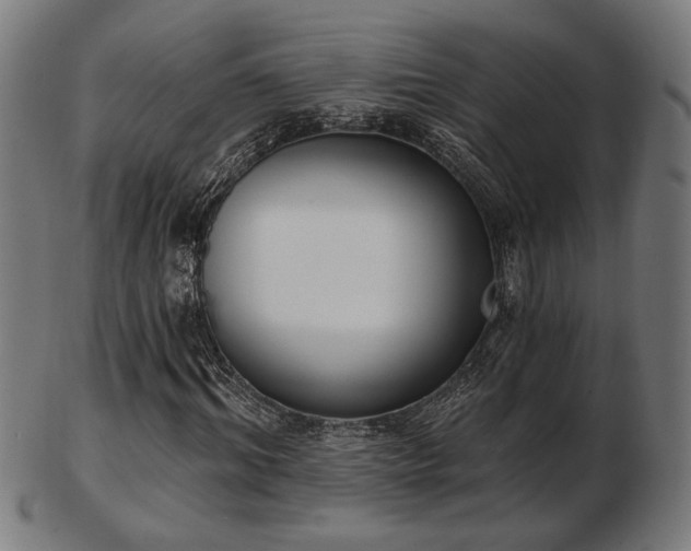 X0000103420964200809121303
