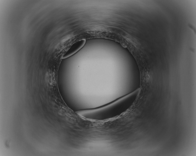 X0000103420965200809121303