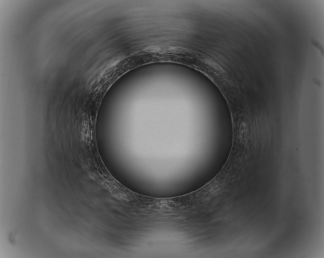 X0000103420966200809121303