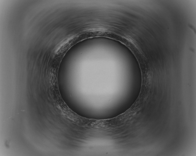 X0000103420967200809121303