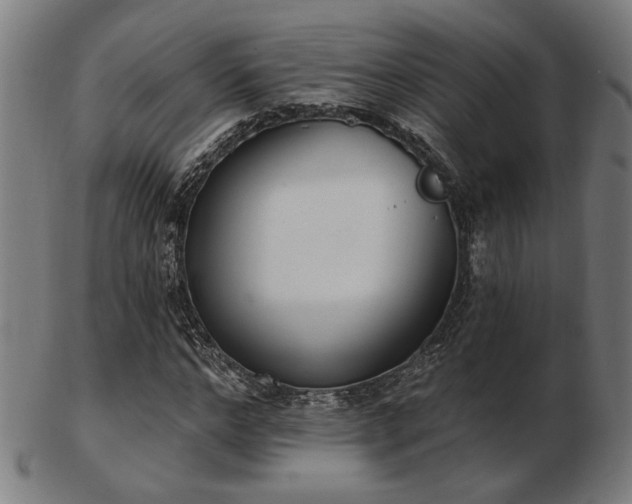 X0000103420968200809121303