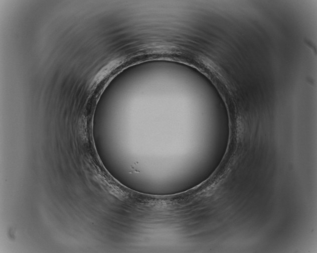 X0000103420970200809121303