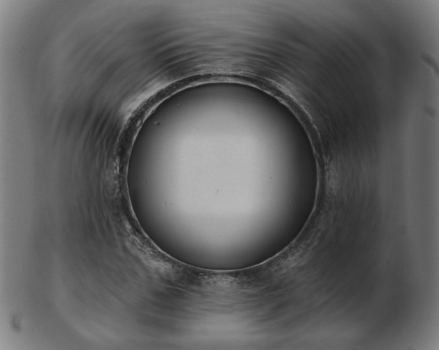 X0000103420971200809121303