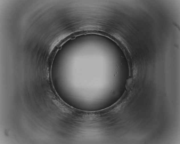 X0000103420973200809121303