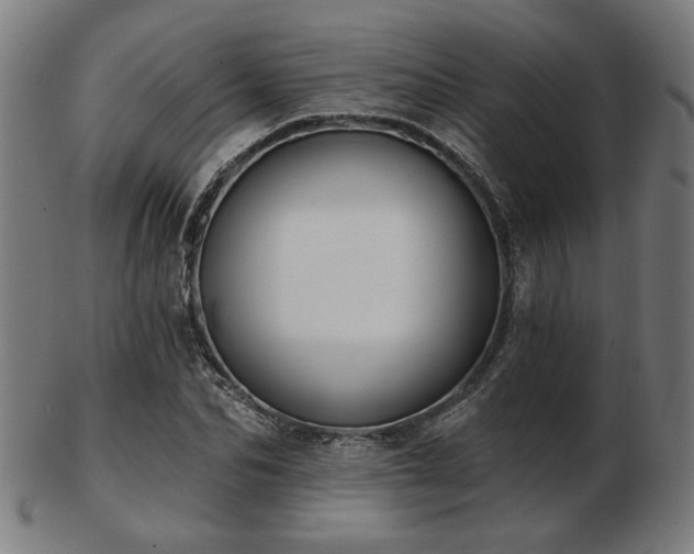 X0000103420974200809121303