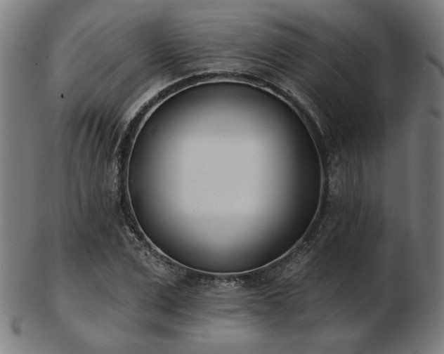X0000103420975200809121303