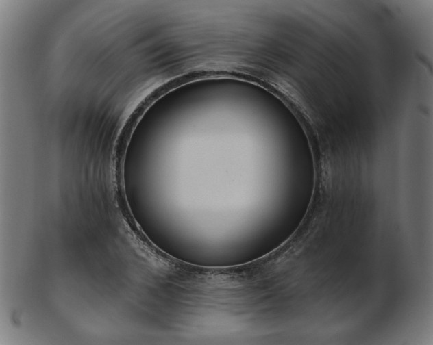 X0000103420976200809121303