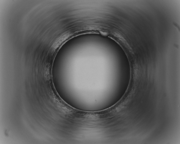 X0000103420977200809121303