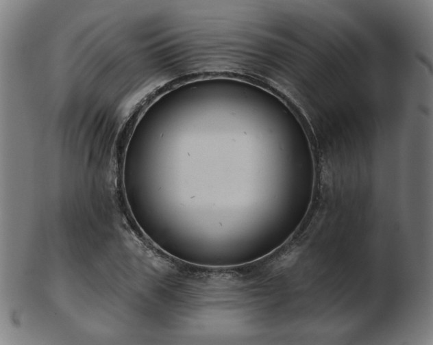 X0000103420979200809121303