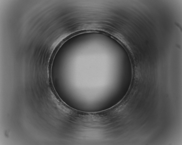 X0000103420980200809121303