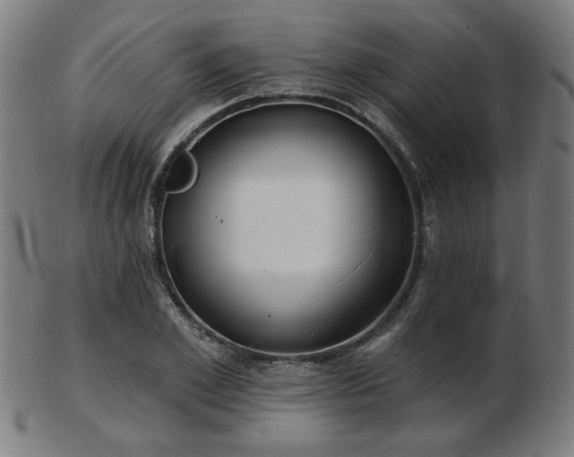 X0000103420981200809121303