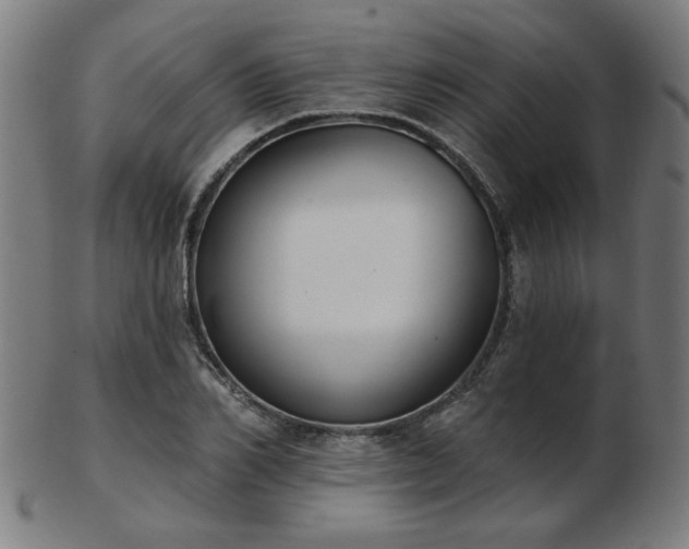 X0000103420982200809121303