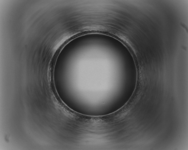 X0000103420983200809121303