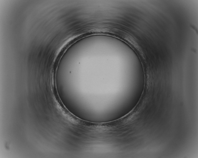 X0000103420984200809121303