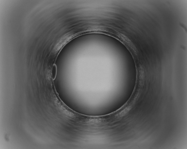 X0000103420985200809121303