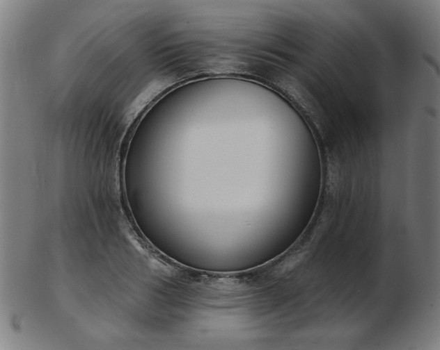 X0000103420986200809121303