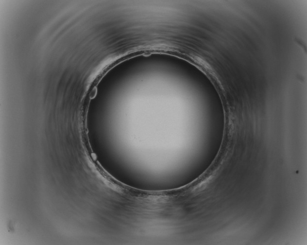 X0000103420989200809121303