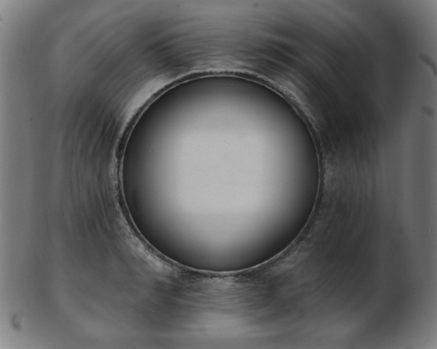 X0000103420990200809121303