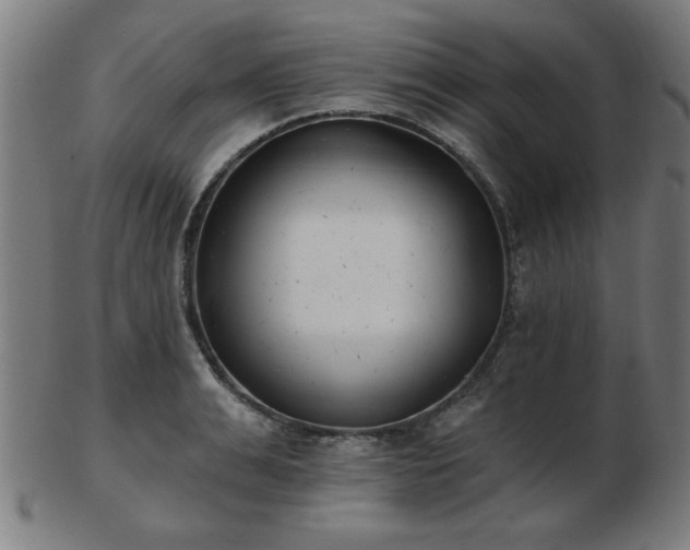 X0000103420991200809121303